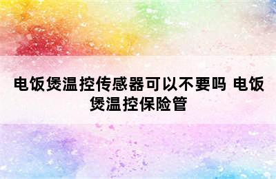 电饭煲温控传感器可以不要吗 电饭煲温控保险管